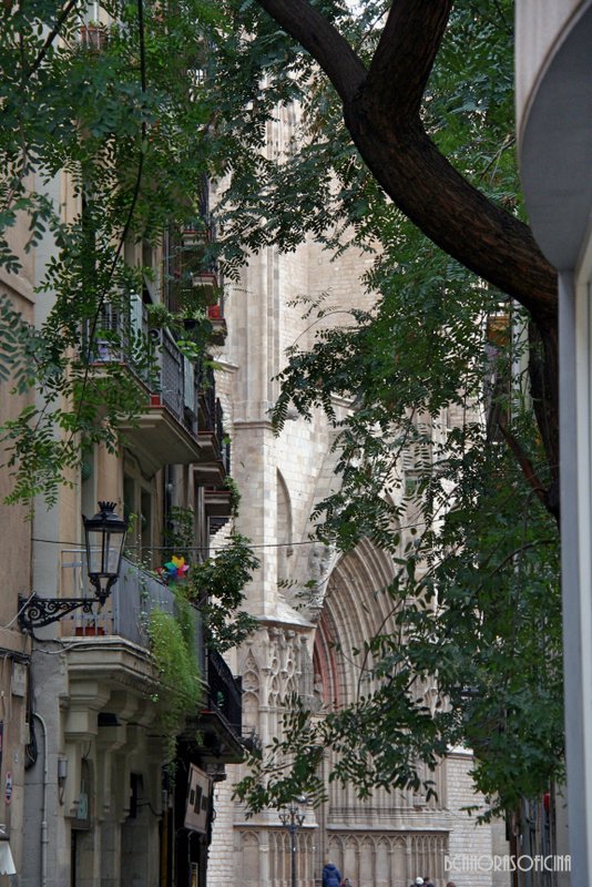 Una sorpresa que se te aparece al final del carrer de l'Argenteria