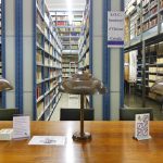 Biblioteca Seminari Conciliar 10_Fotor1