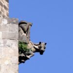 Catedral-BCN-IMG_6006