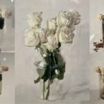 Antonio López | Rosas de Avila