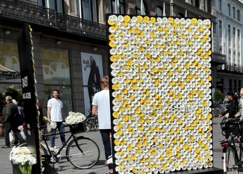 Panel de margaritas (daisy) en Copenhague